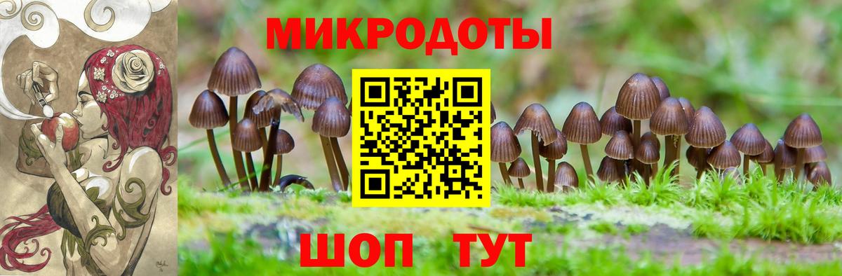 Псилоцибиновые грибы Magic Shrooms  Вход с VPN  Асино 